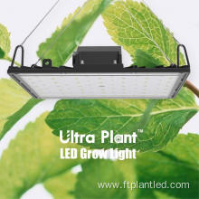 730nm Red Grow Lights Greenhouse Indoor for Flowering